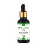 Al Masnoon Sidr Leaves Oil/Sidr Leaves Infused with Olive oil/For Body, Hair & Beard/For Ruqaiya/ 30ml(pack of 1) No Chemical Added