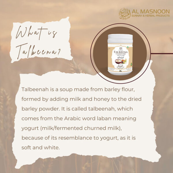 AL MASNOON Talbina with Dry Fruit 500g (pack of 1) / A sunnah & healthy diet porridge for all age group