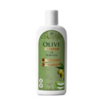 Olive Shampoo – 500ml, Enriched with Olive Leaves and Aloe Vera