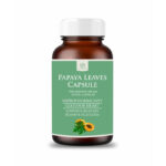 Papaya Leaf Capsules 500mg / Herbal Supplement for Digestive Health Immune Support and Overall Well Being