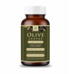 Olive Leaf Capsules 500mg Quality Herbal Supplement